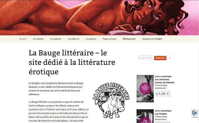 Capture Bauge avec en-tête d'Antonin Gallo aka Monsieur To