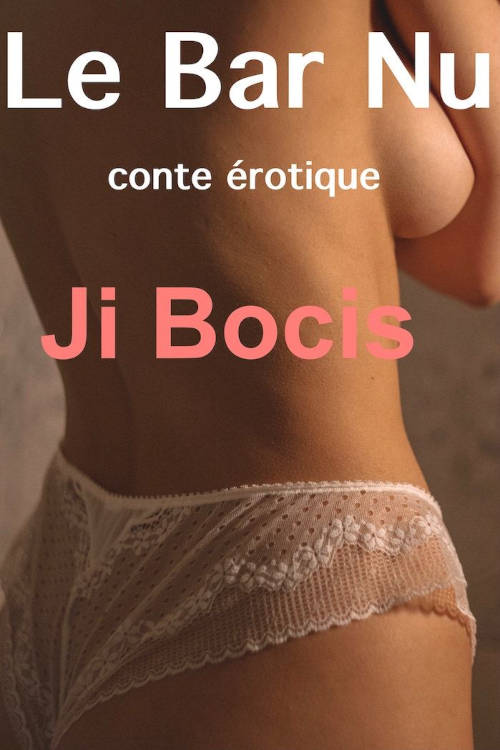 Pira­tage littéraire